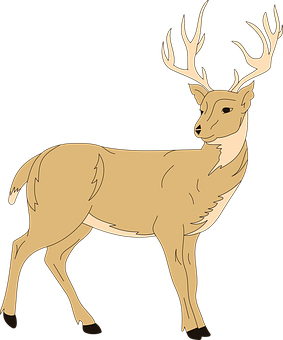 Majestic Stag Illustration