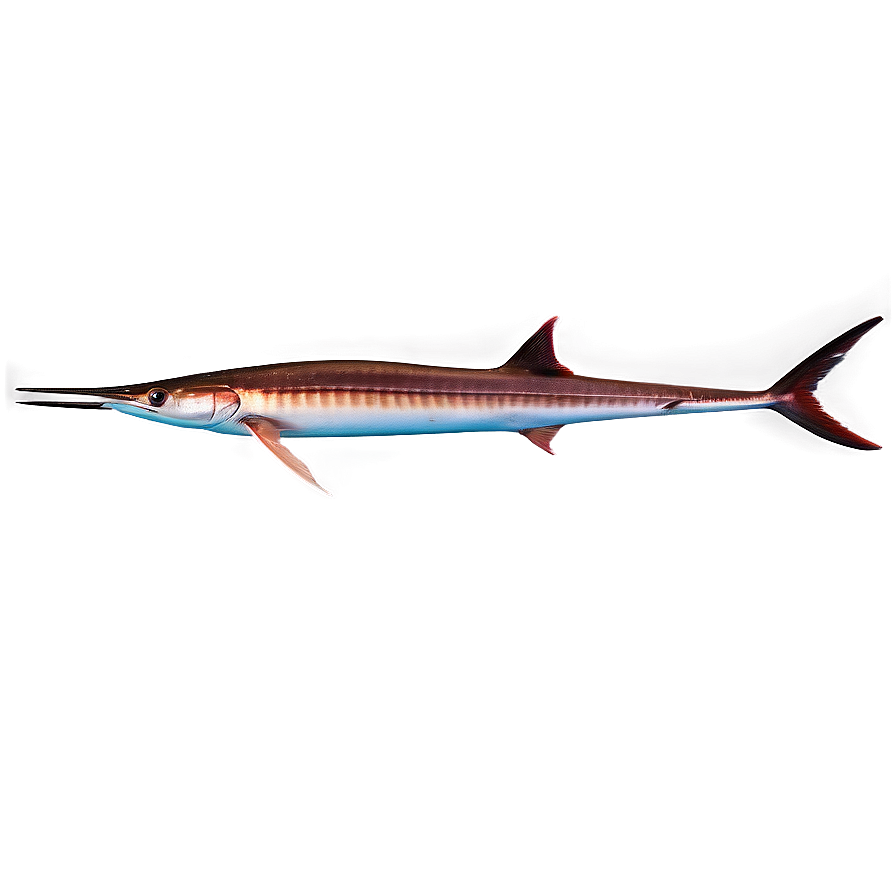 Majestic Swordfish Image Png 22