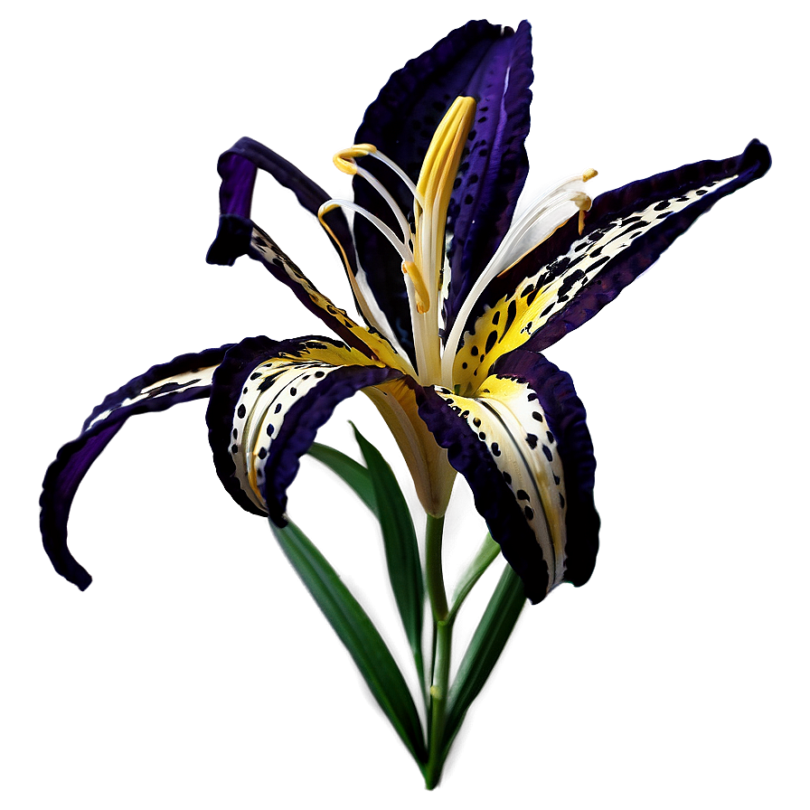 Majestic Tiger Lilies Png 85