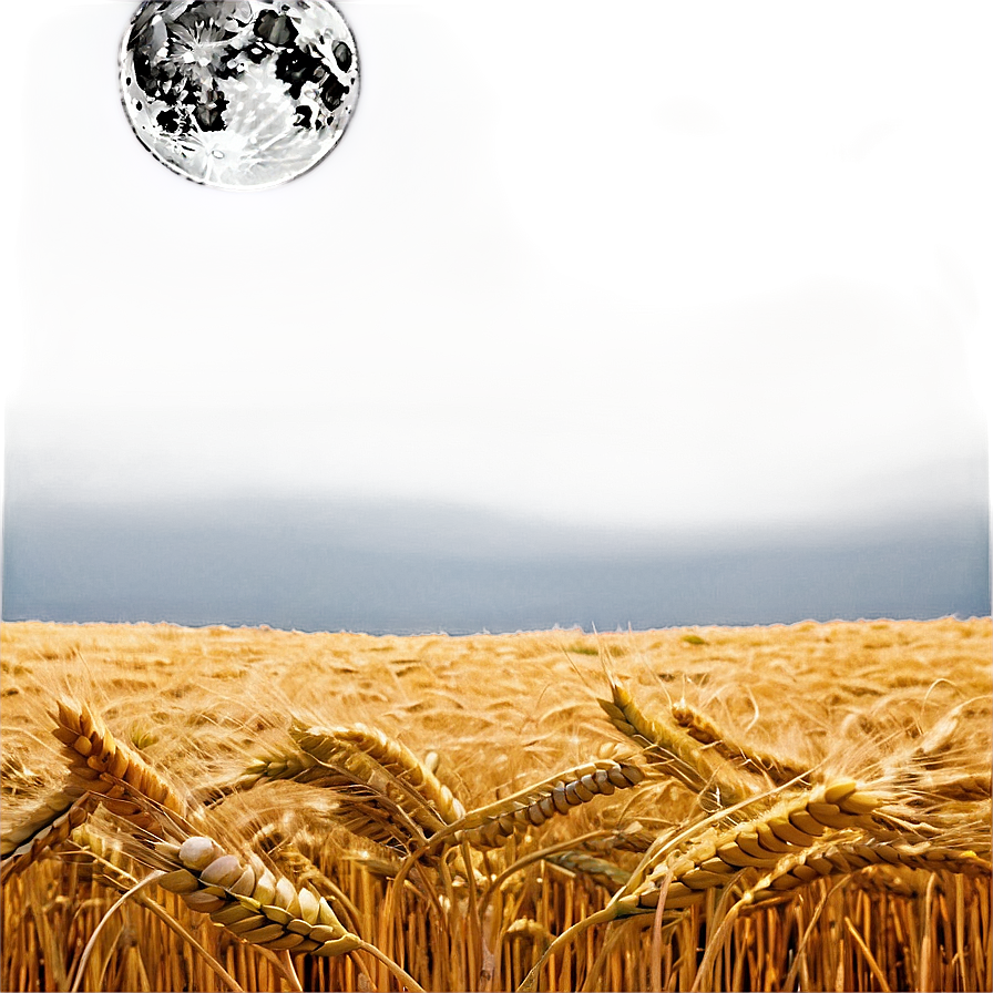 Majestic Wheat Field Full Moon Png 14