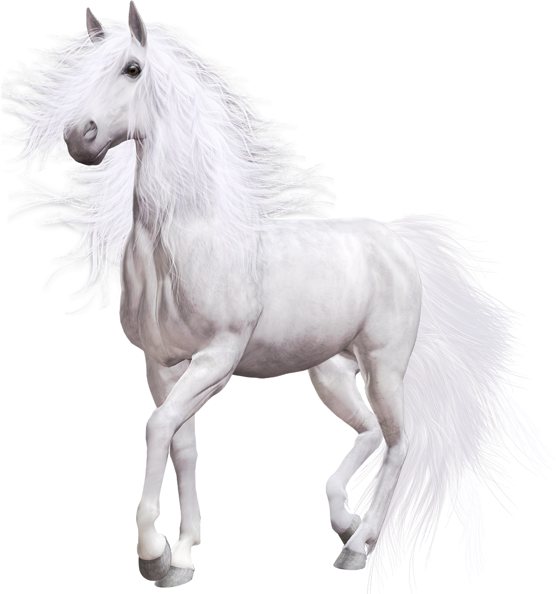 Majestic White Horse Flowing Mane