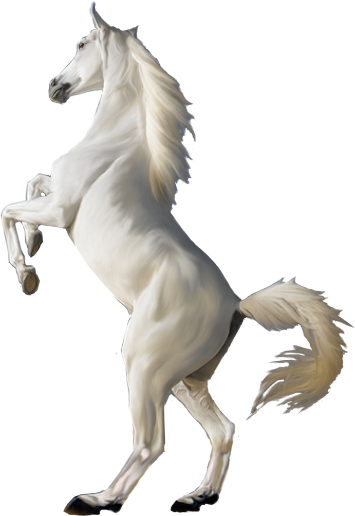 Majestic White Horse Rearing