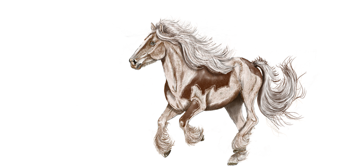 Majestic White Maned Horse