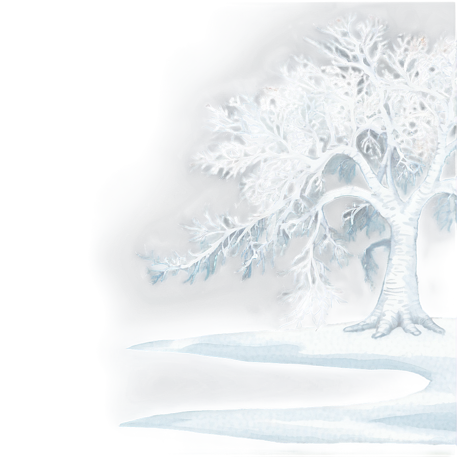 Majestic White Tree Panorama Png 97