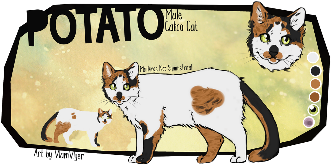 Male Calico Cat Illustration