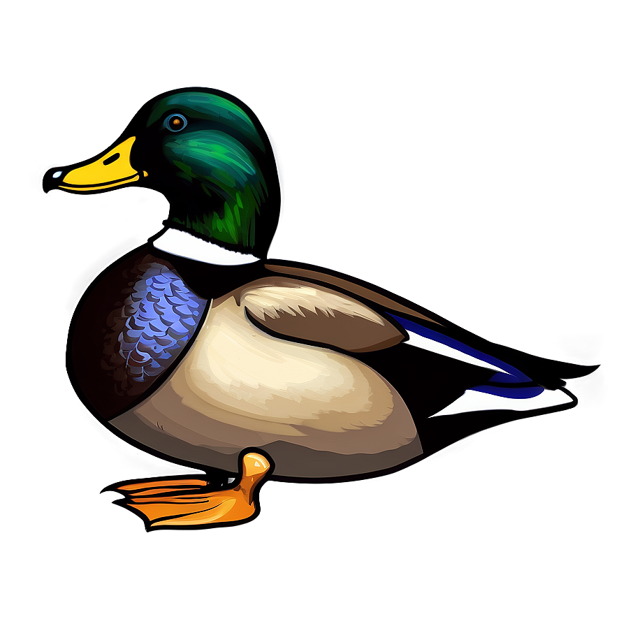 Male Mallard Duck Png 06262024