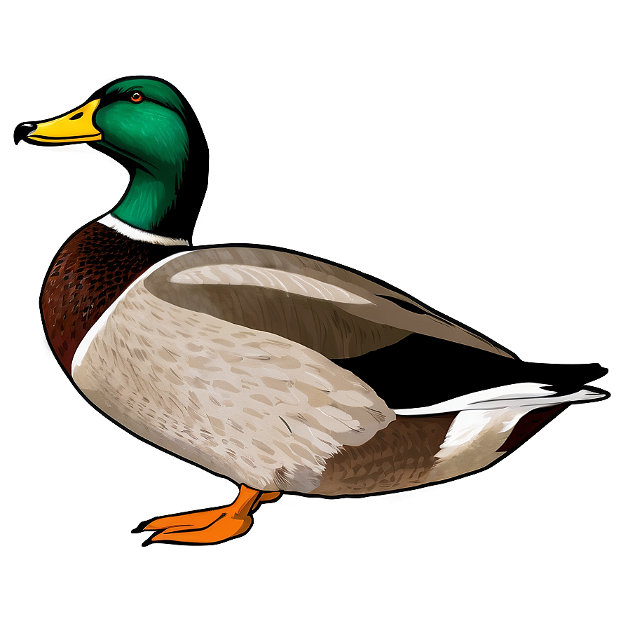 Mallard Duck Outline Png 32