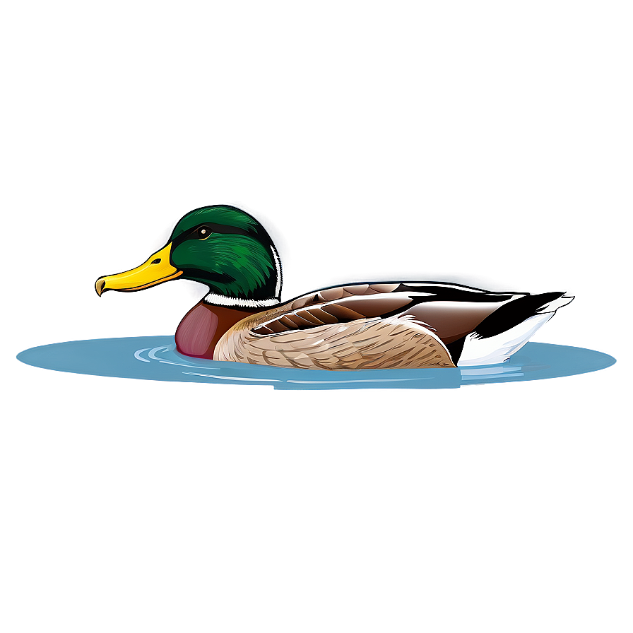 Mallard Duck Swimming Png Ekk