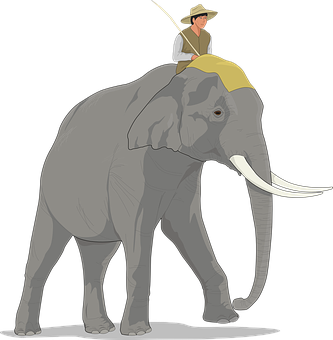 Man_ Riding_ Elephant_ Illustration