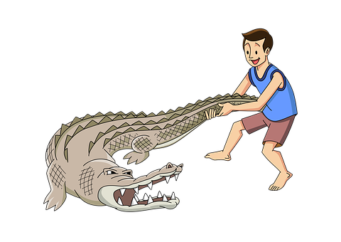 Man Wrestling Crocodile Cartoon