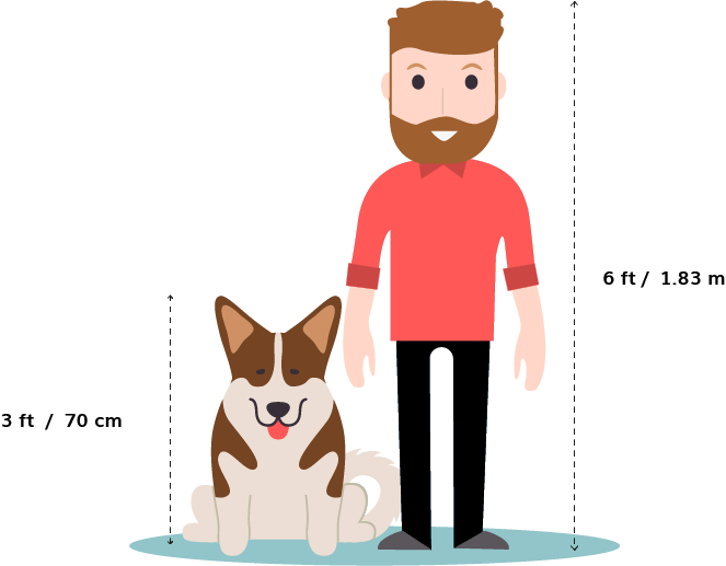 Manand Dog Size Comparison