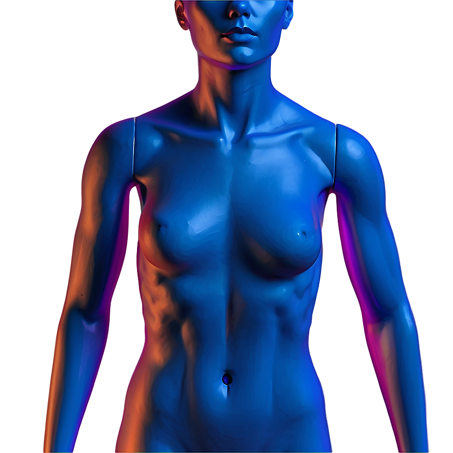 Mannequin Torso With Clothes Png 06282024