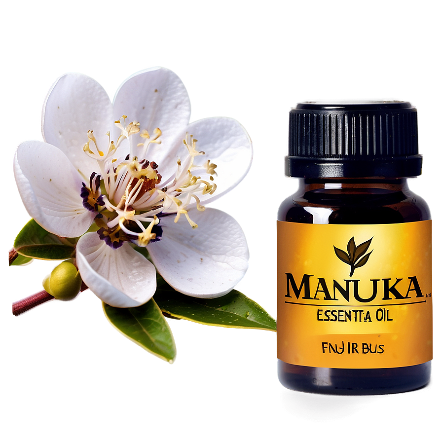 Manuka Essential Oil Png 06292024