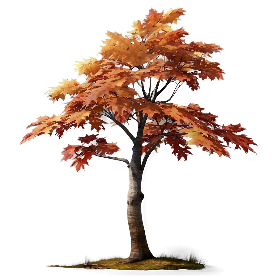 Maple Autumn Tree Png Rpe