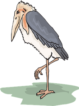 Marabou Stork Illustration