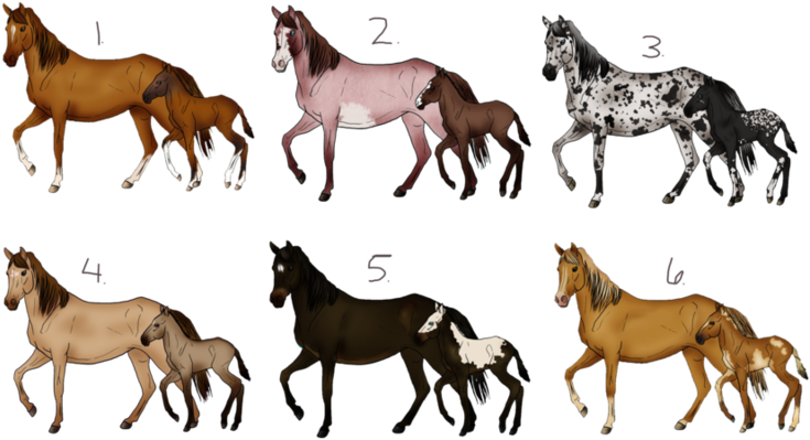 Mare_and_ Foal_ Varieties