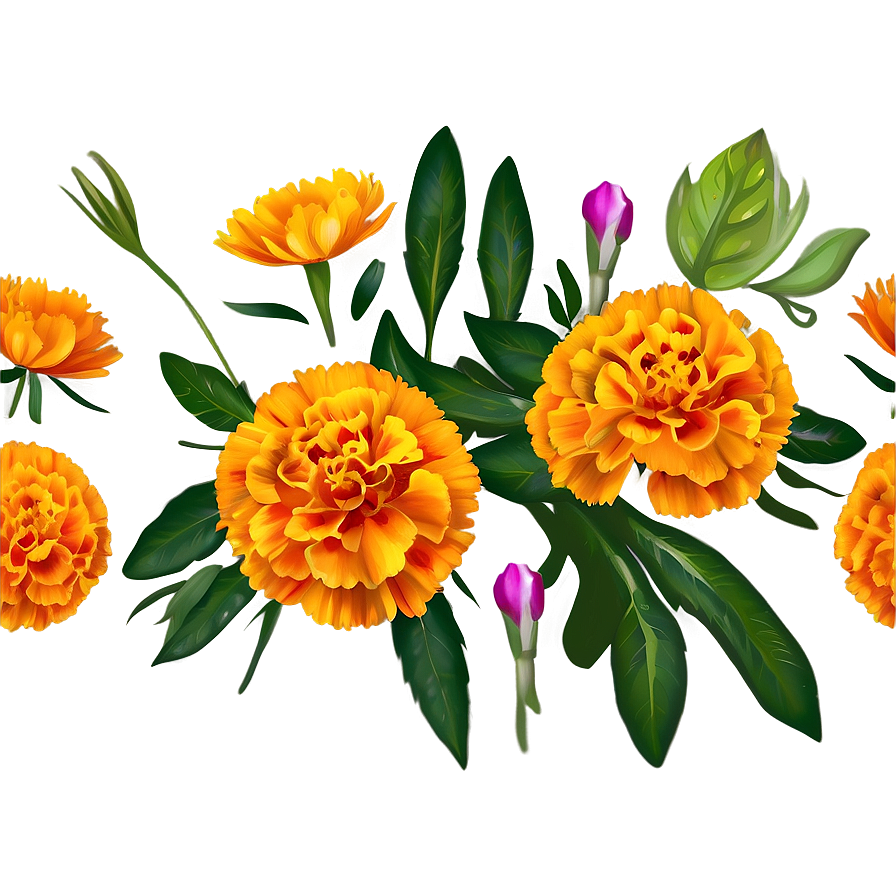 Marigold Bouquet Png 64