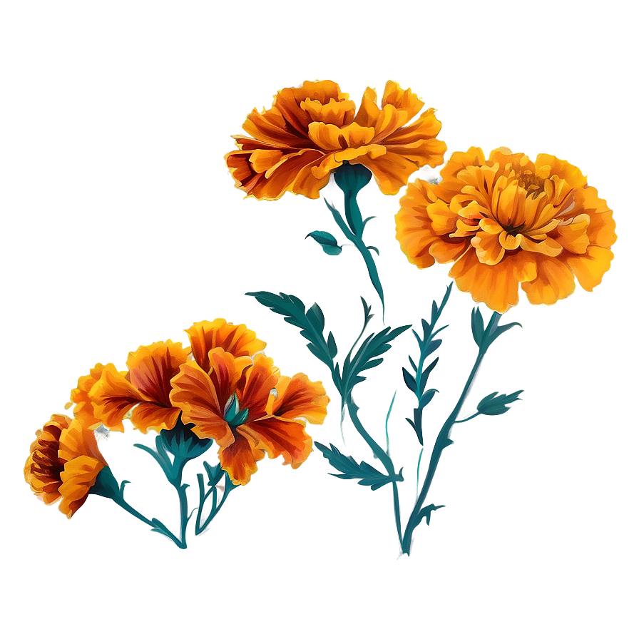 Marigold Fabric Print Png Yrc