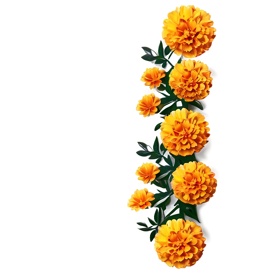 Marigold Festive Decoration Png Fyl