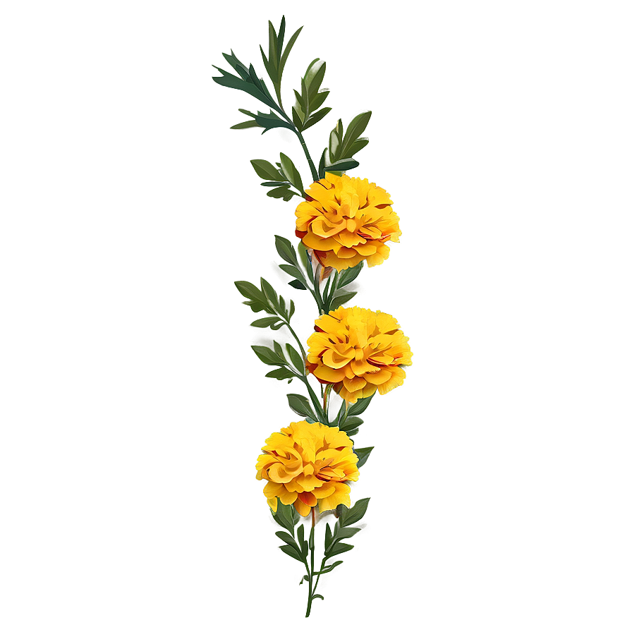 Marigold Floral Border Png 06112024