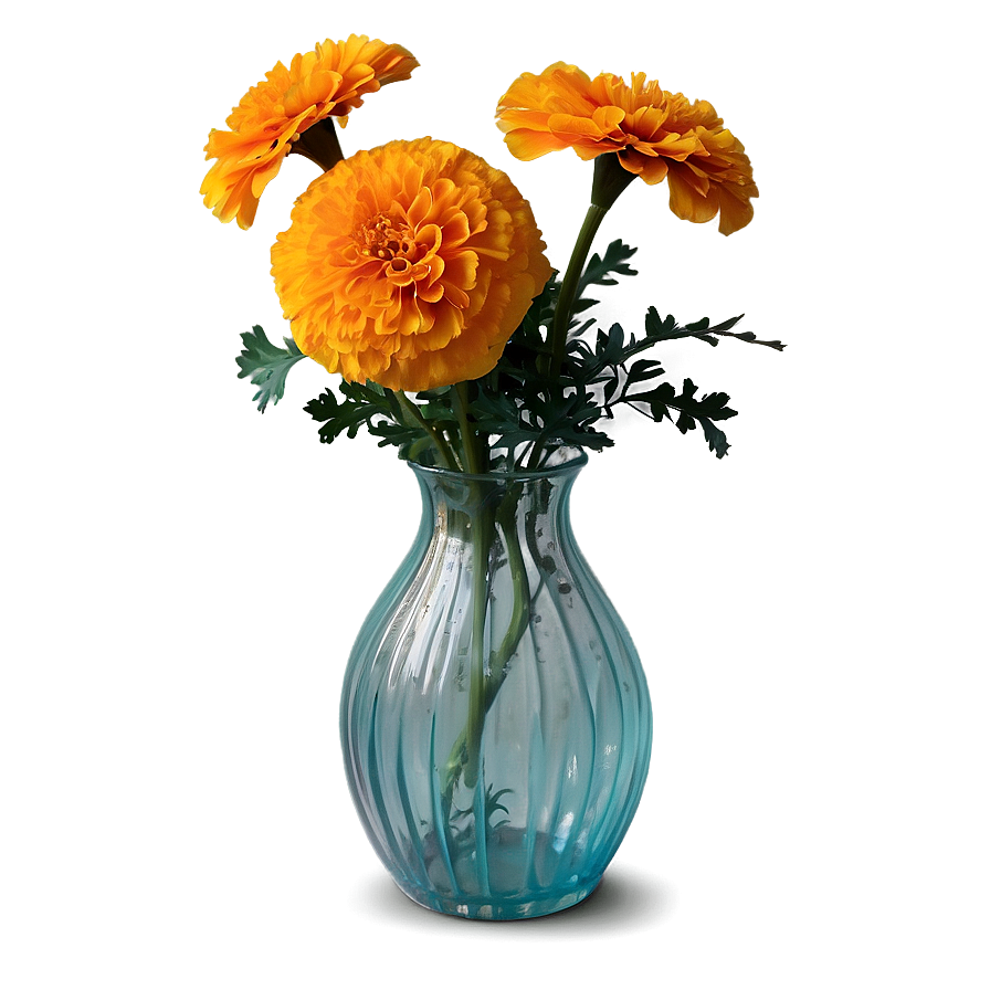 Marigold In Vase Png Syi