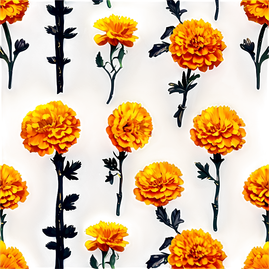 Marigold Seamless Pattern Png Dng