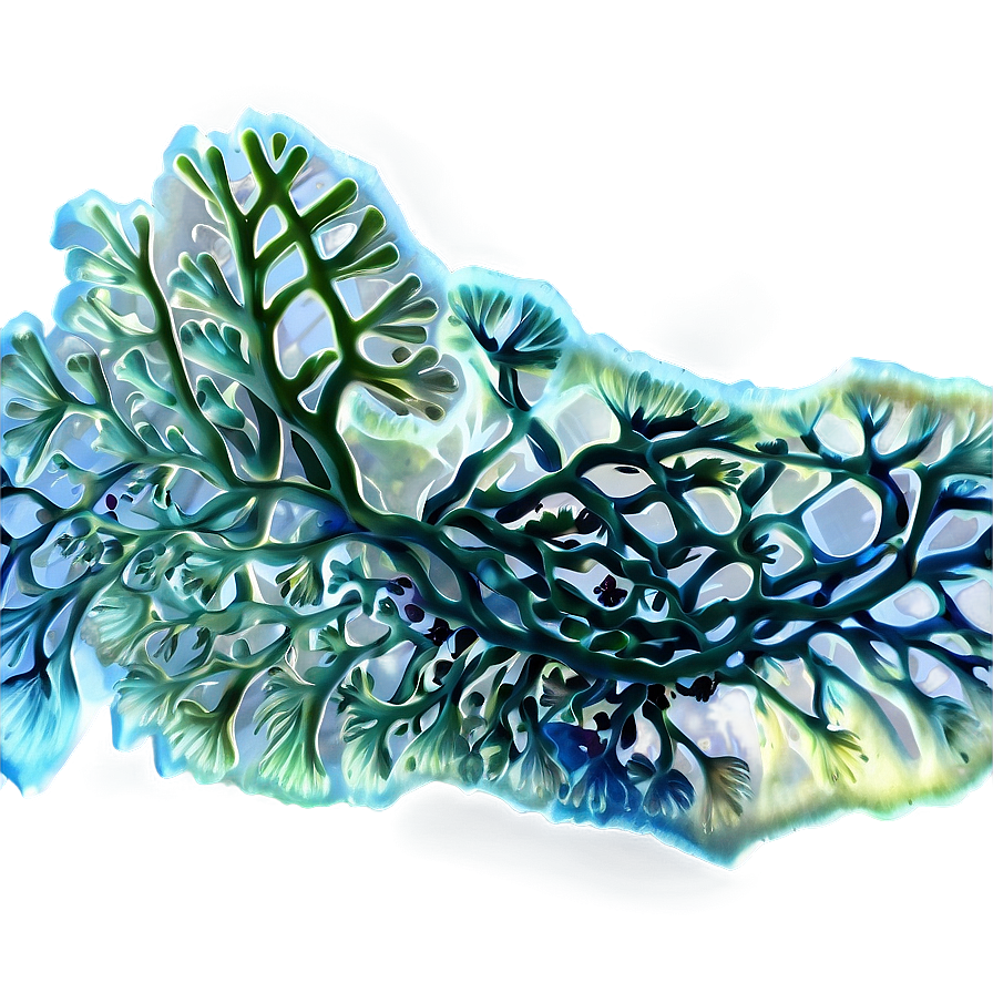 Marine Algae Artwork Png Faf