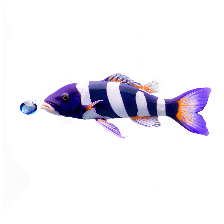 Marine Life Fish Png Ugy