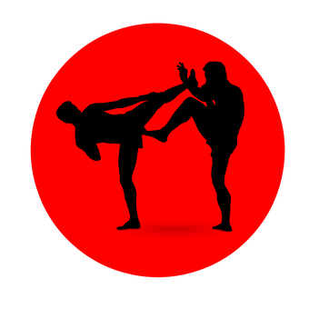 Martial Arts High Kick Silhouette