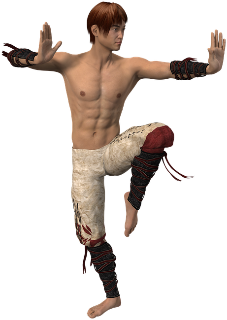 Martial_ Arts_ Stance_ Render