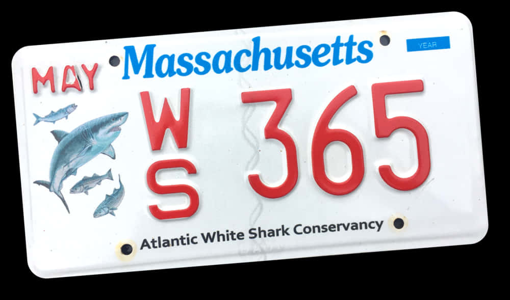 Massachusetts Shark Conservancy License Plate