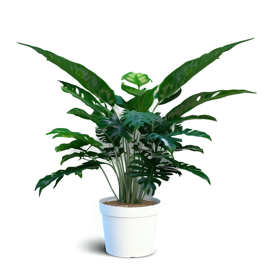 Medicinal Houseplant Png 29