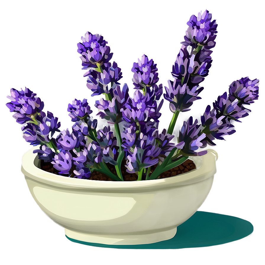 Medicinal Lavender Plant Png Jcx