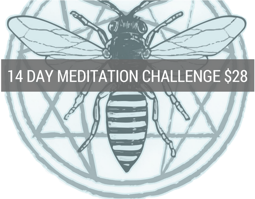 Meditation Challenge Mosquito Graphic