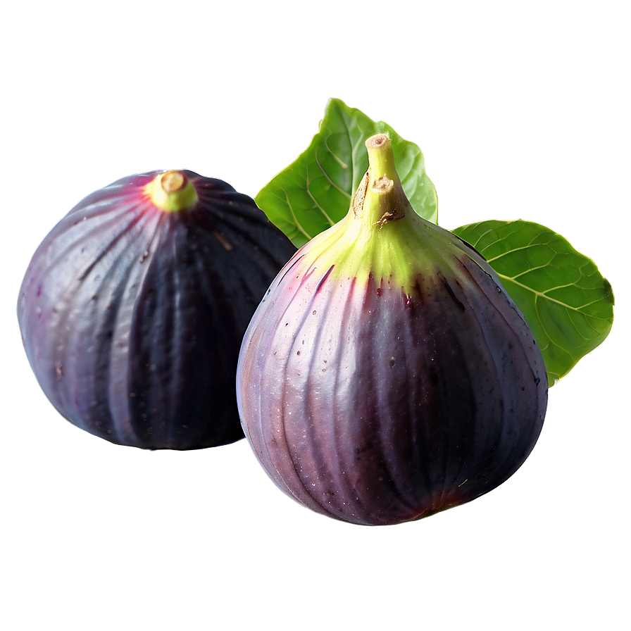 Mediterranean Fig Png 44