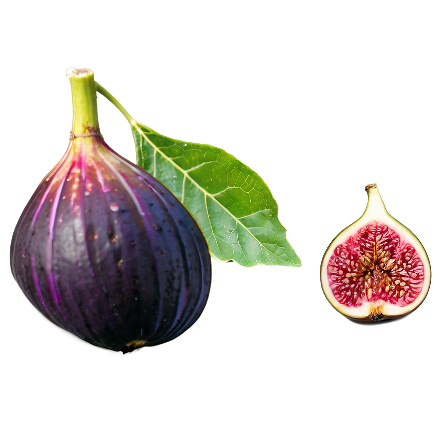 Mediterranean Fig Png Yoo15