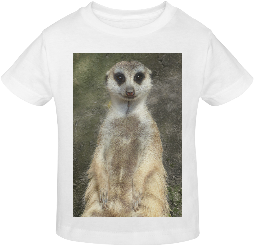 Meerkat Printed T Shirt Design