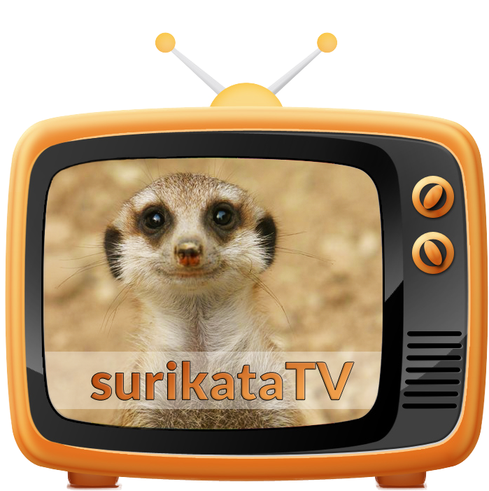 Meerkaton T V Icon