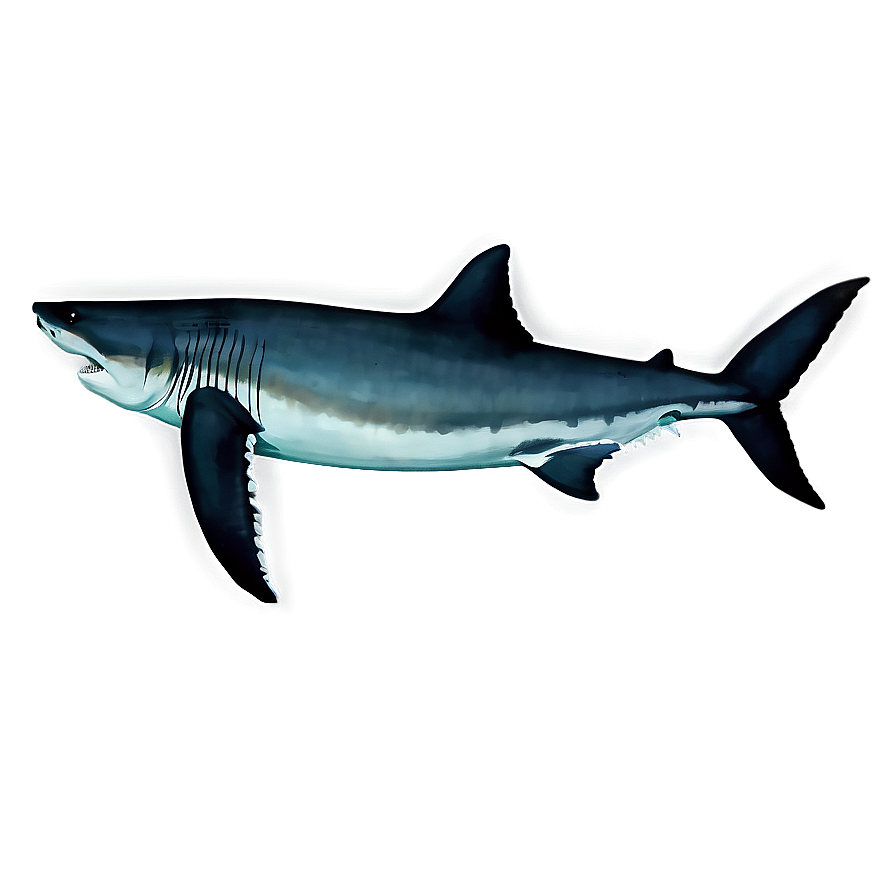 Megalodon Side View Png Nbx12