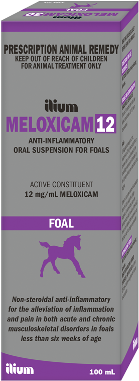 Meloxicam12 Anti Inflammatory Oral Suspension For Foals