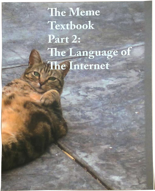 Meme Textbook Cat Lounging