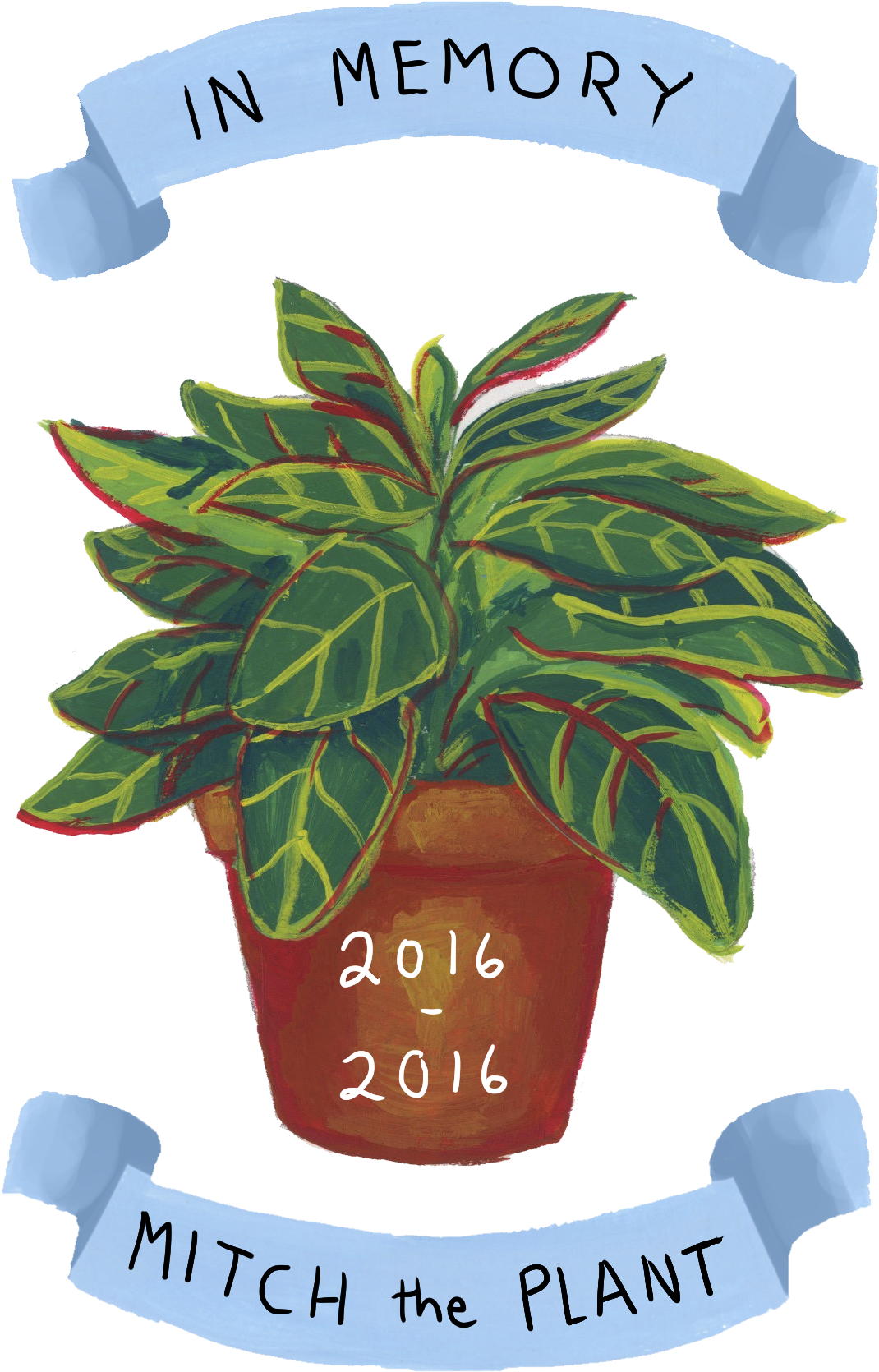 Memoryof Mitchthe Plant Illustration