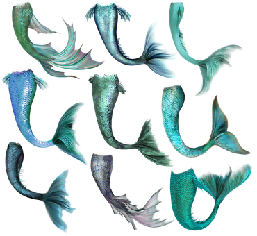 Mermaid Tail Collection Digital Art