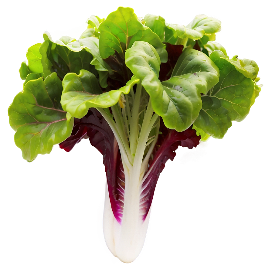 Mesclun Greens Png 05242024