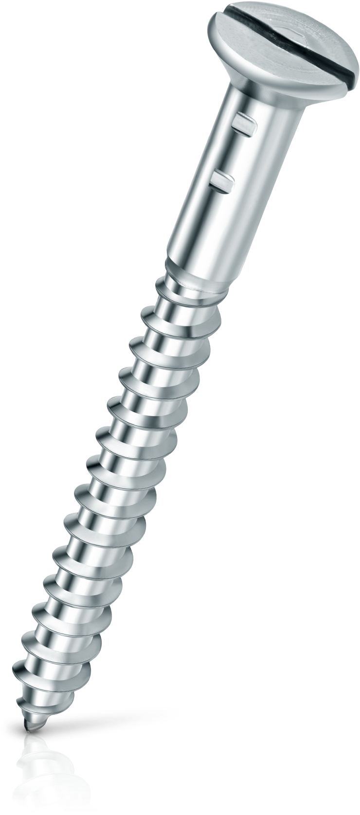 Metal Screw Slotted Head