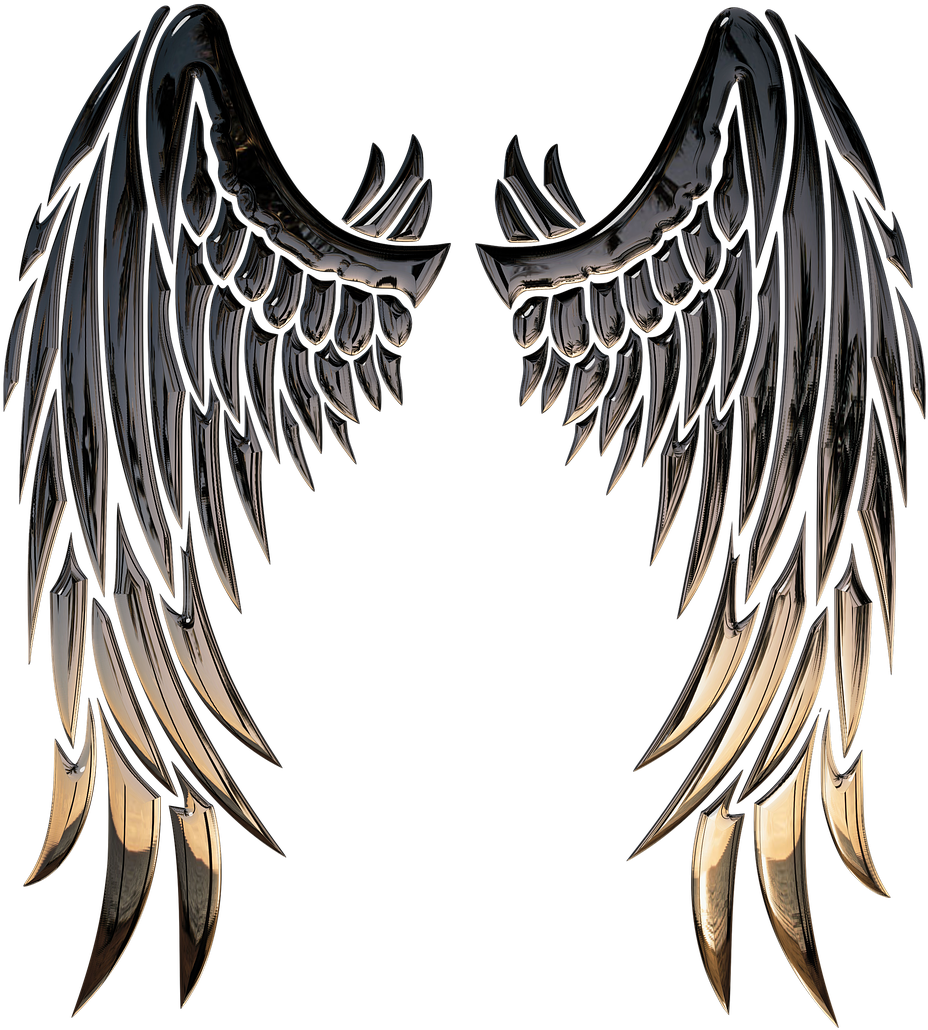 Metallic Angel Wings Artwork