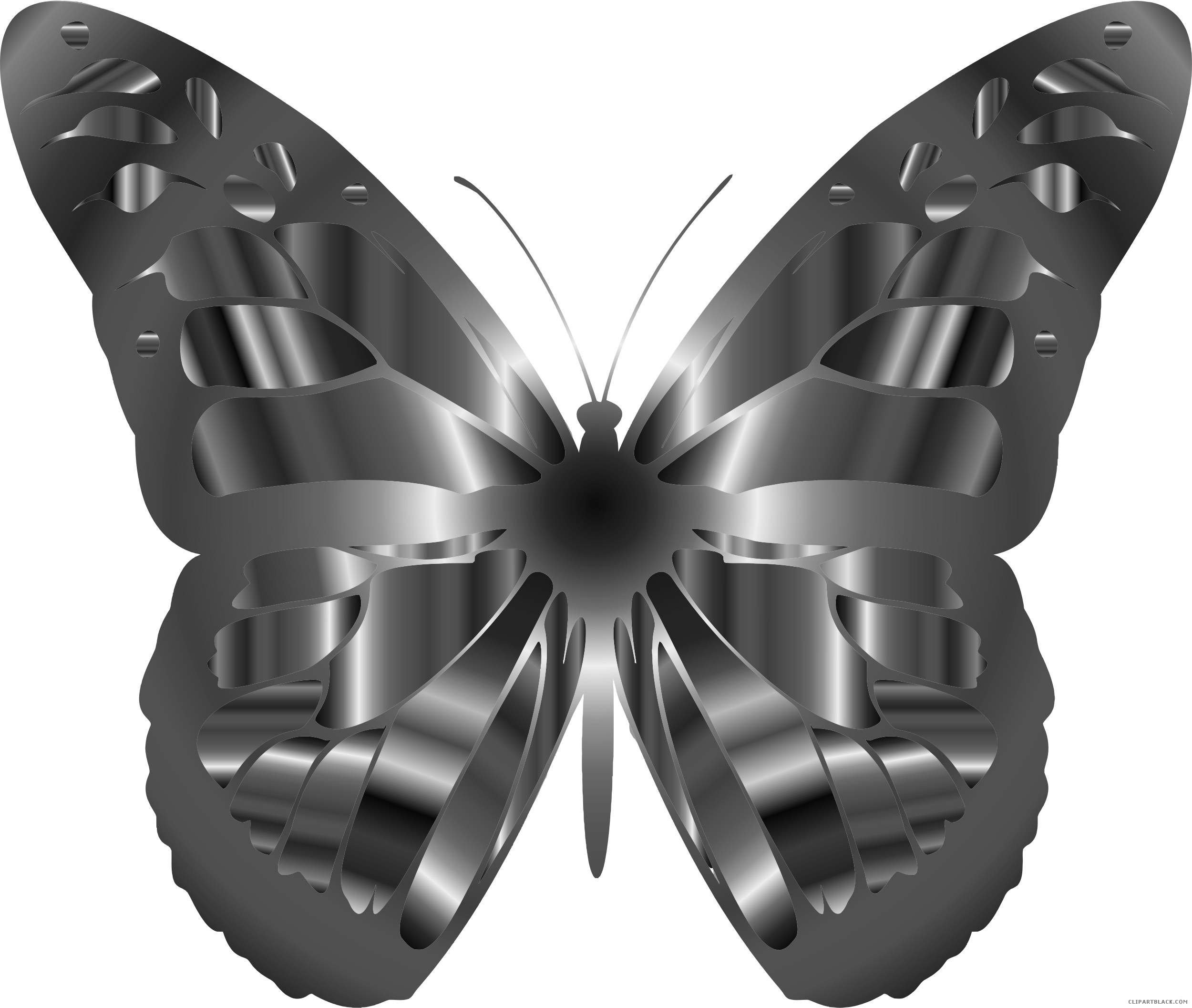 Metallic Butterfly Illusion