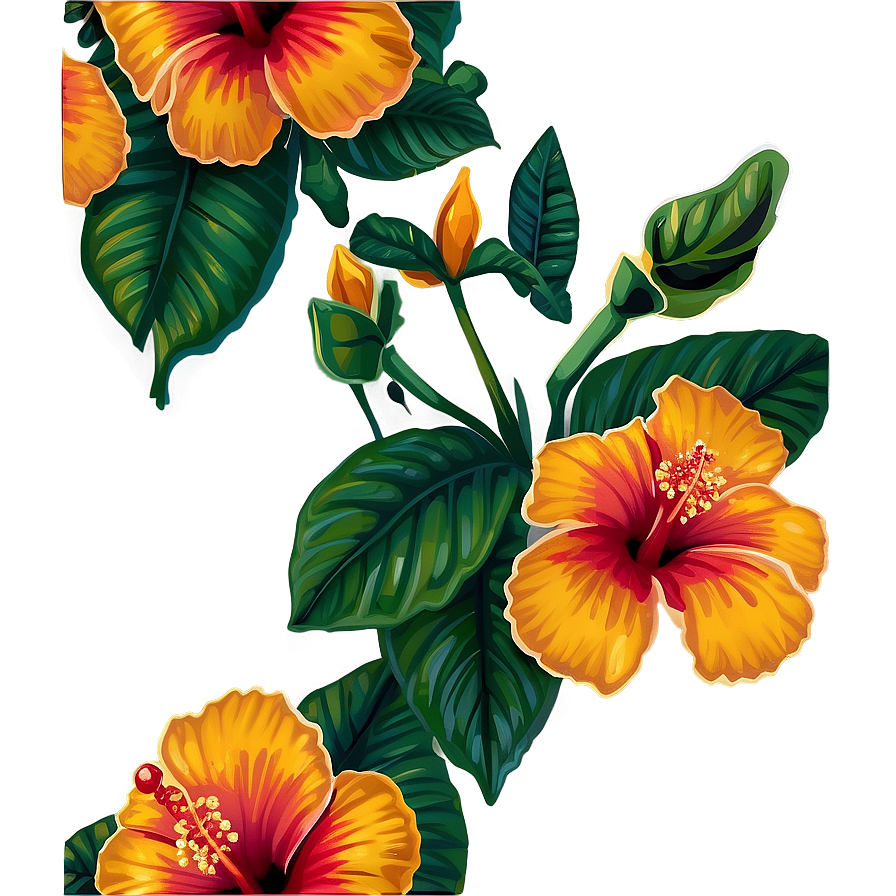 Mexican Hibiscus Flowers Png 10