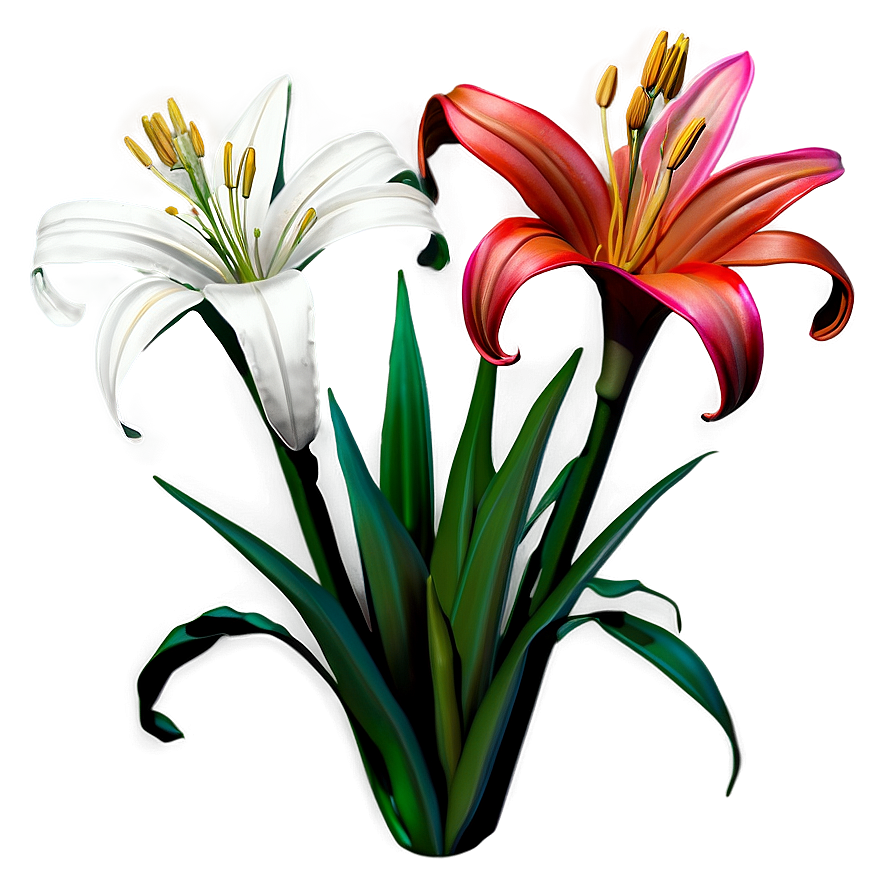 Mexican Lily Flowers Png Pcw1