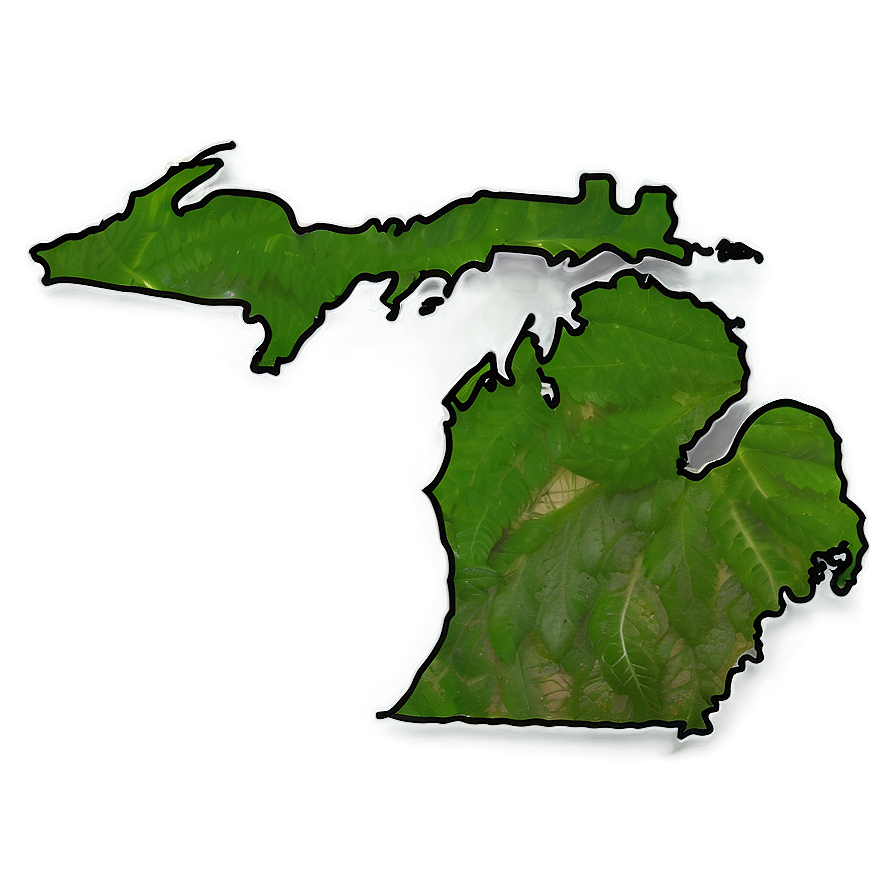 Michigan Outline C